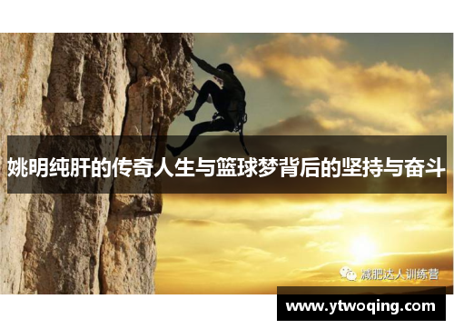 姚明纯肝的传奇人生与篮球梦背后的坚持与奋斗