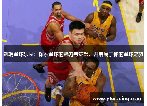 姚明篮球乐园：探索篮球的魅力与梦想，开启属于你的篮球之旅