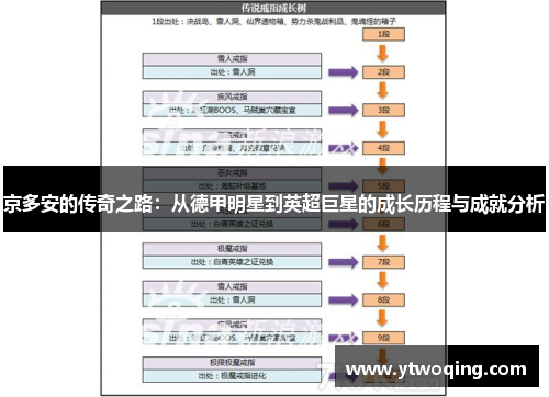 京多安的传奇之路：从德甲明星到英超巨星的成长历程与成就分析